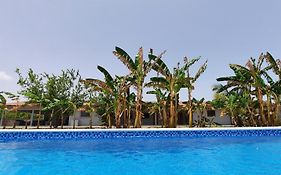 Chez Nous Chez Vous